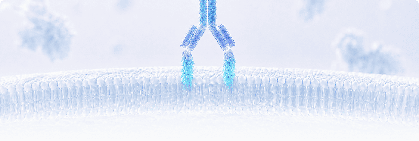 Biological Target Antibodies